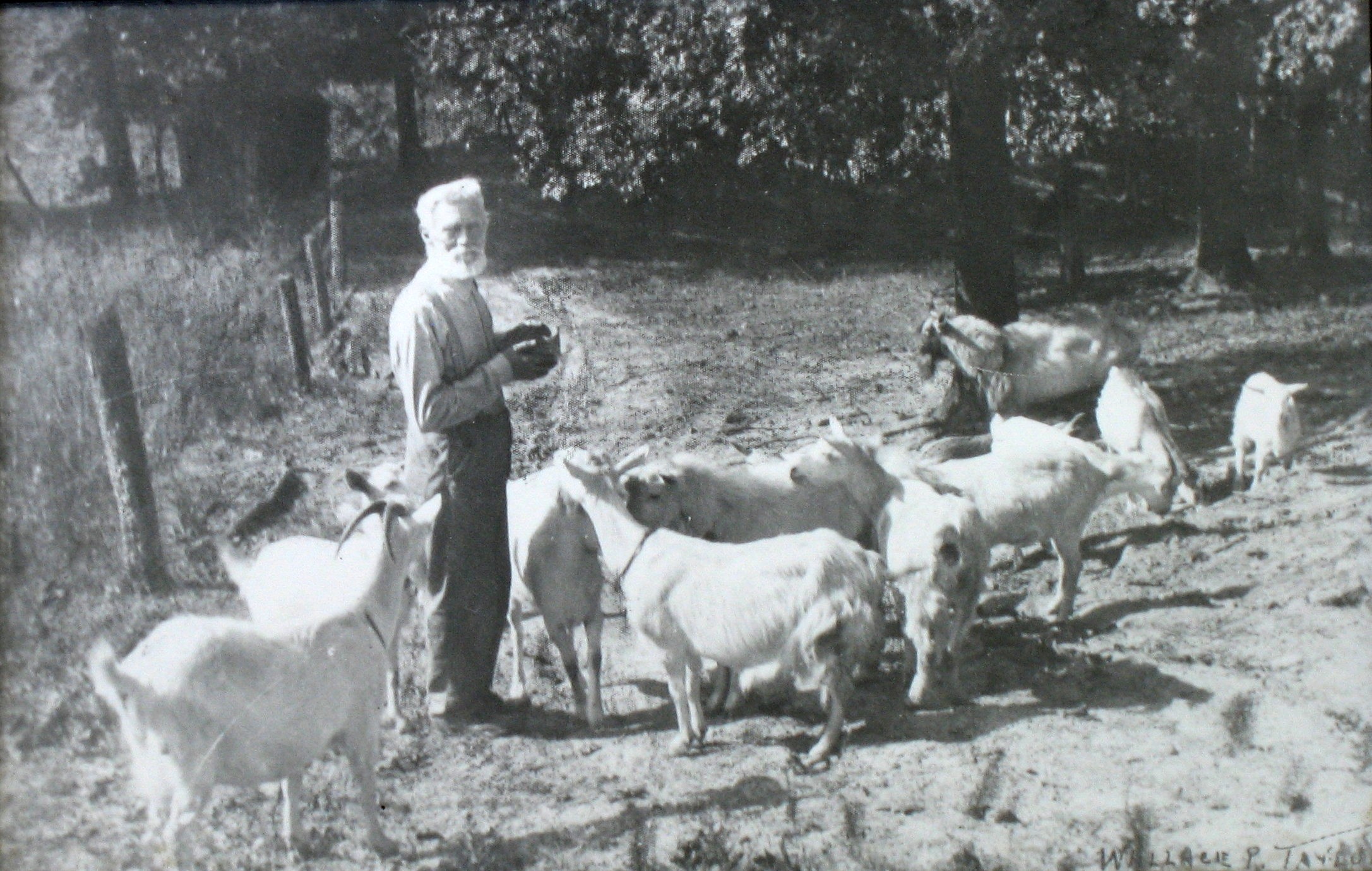 Obe Ruurds Smith at his farm at Brown County